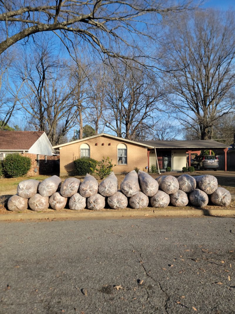 Leaf removal bags collected by Harwell's Lawn Services